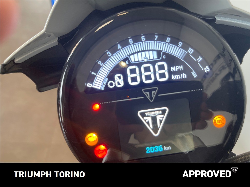 TRIUMPH Trident 800 Ash Grey Abs