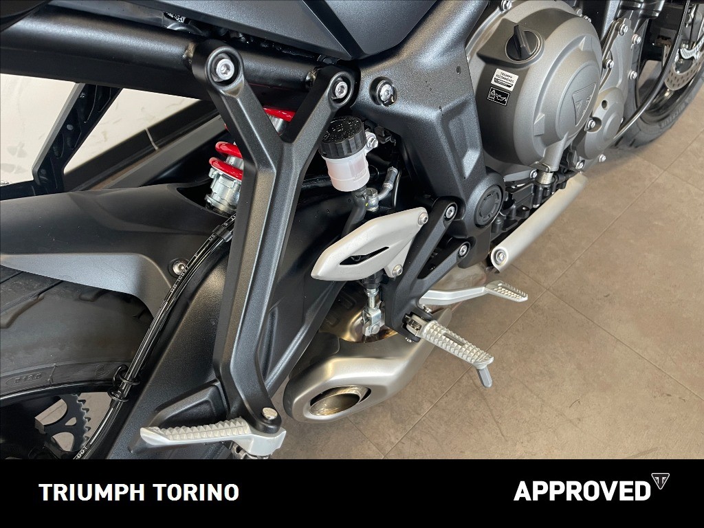 TRIUMPH Trident 660 Stone Grey Abs