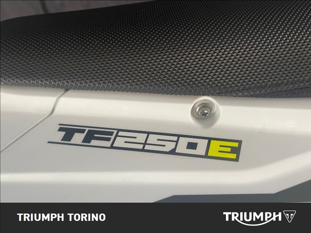 TRIUMPH TF 250 E Abs